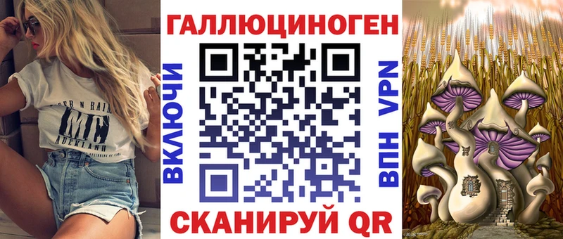 Купить закладки  Няндома  Псилоцибиновые грибы Psilocybe 